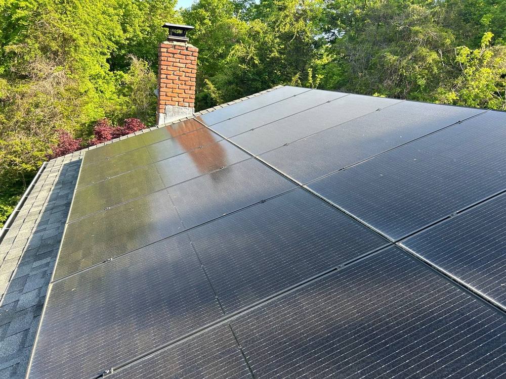 Solar panels covered in green algae and pollen next to freshly cleaned panels on the same roof